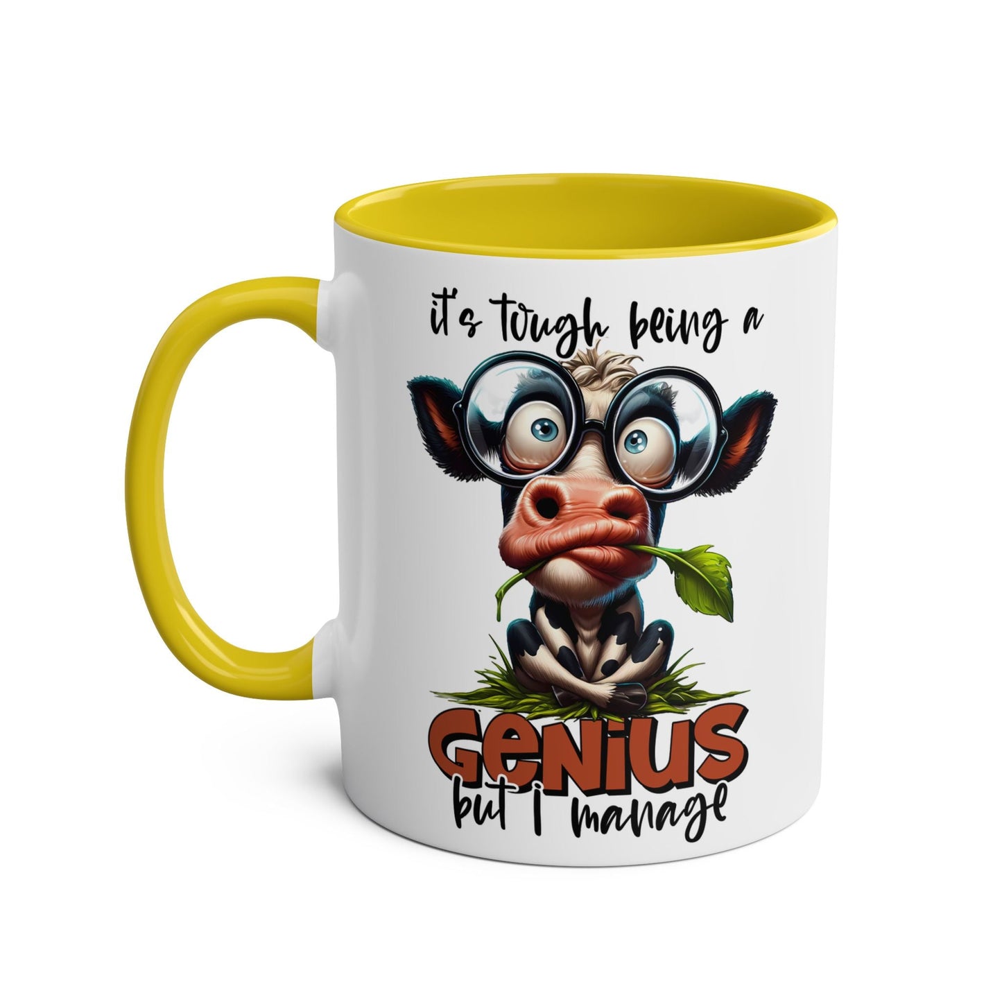 Genius or not, we all need a little humour in our day! This fun mug brings the laughs with its tongue-in-cheek message and adds a dash of quirkiness to your morning Mugarooz